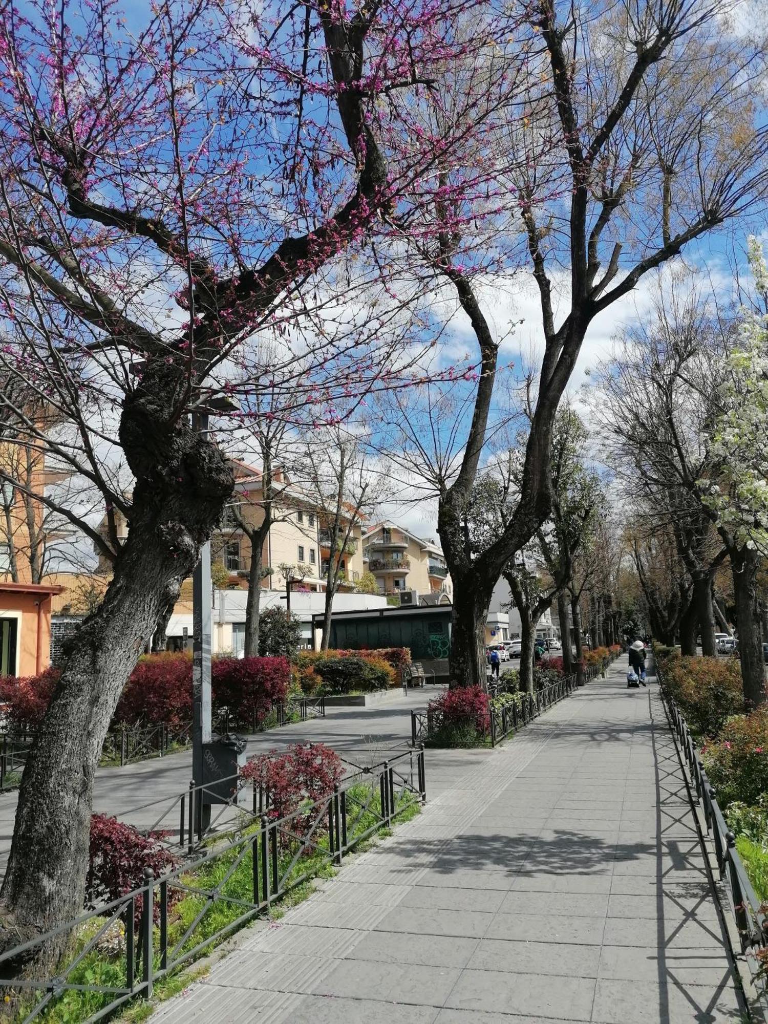 Appartement La Passeggiata à Monterotondo  Extérieur photo